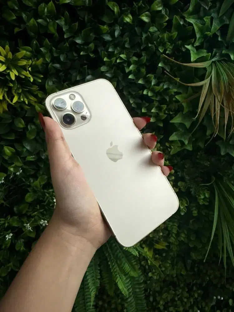 IPHONE 12 PROMAX 256GB