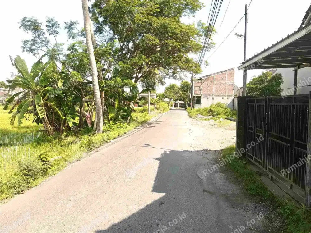 tanah istimewa selatan kampus UMY Tamantirto kasihan