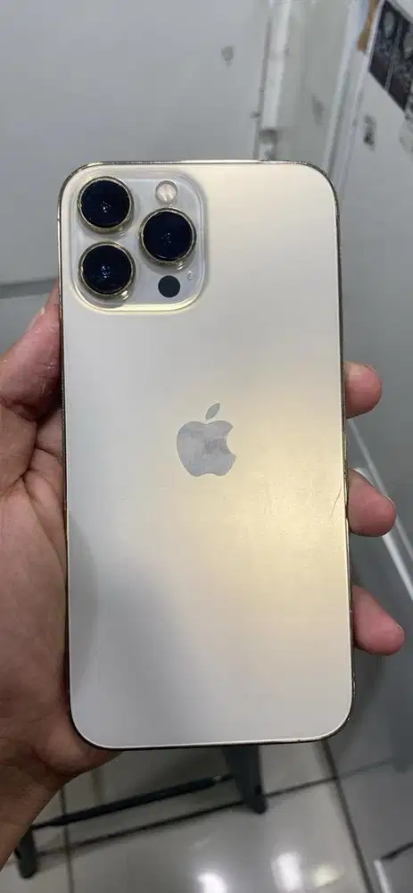 Second iPhone 13 Pro Max 1TB