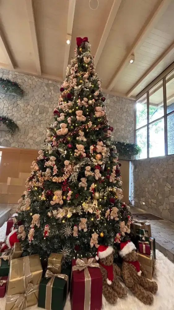 Menerima bimbel privat setara SD dan SMP