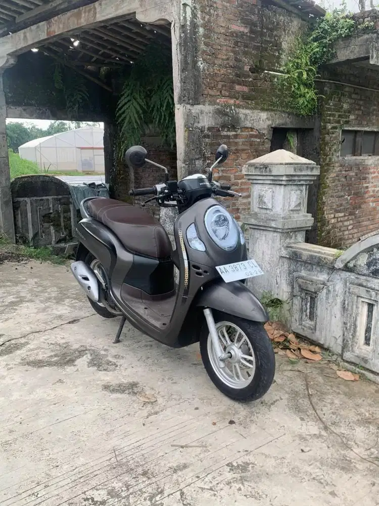 scoopy istimewa 2023