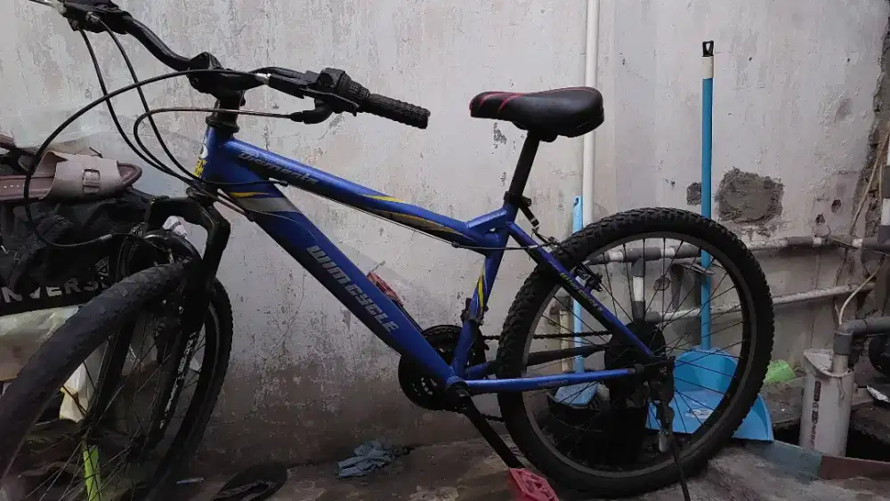 Sepeda wimcycle