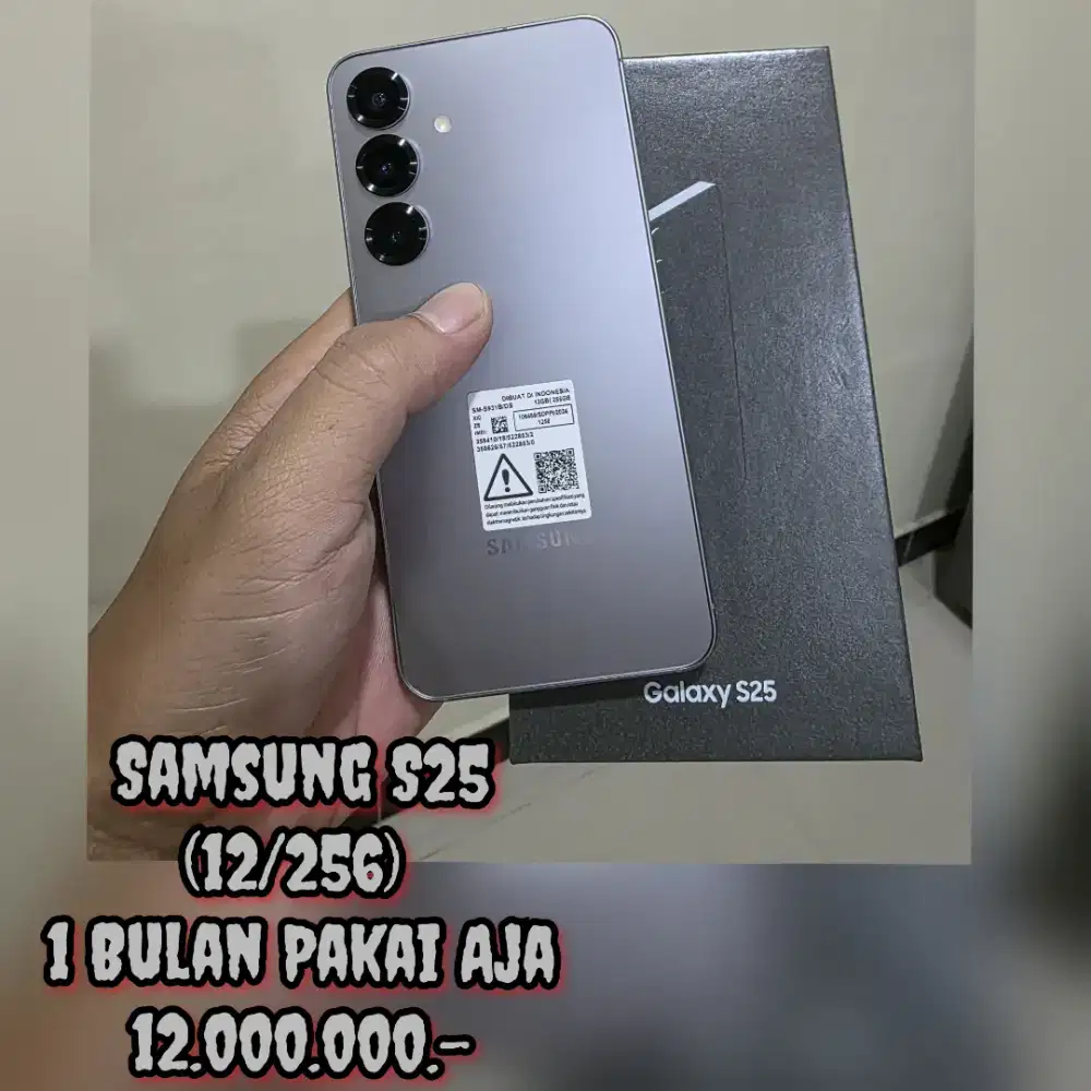 Samsung S25 (12/256)