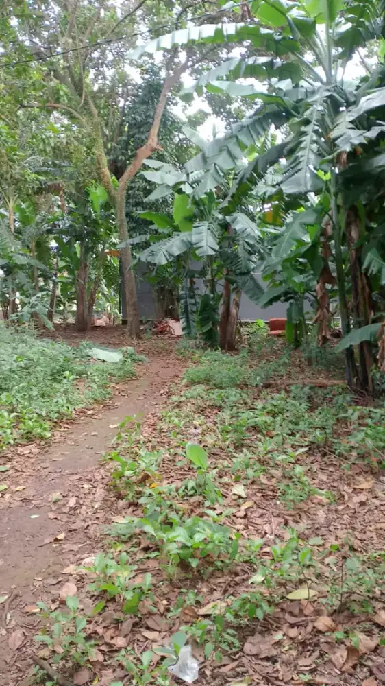 Dijual Tanah Cipedak Jagakarsa