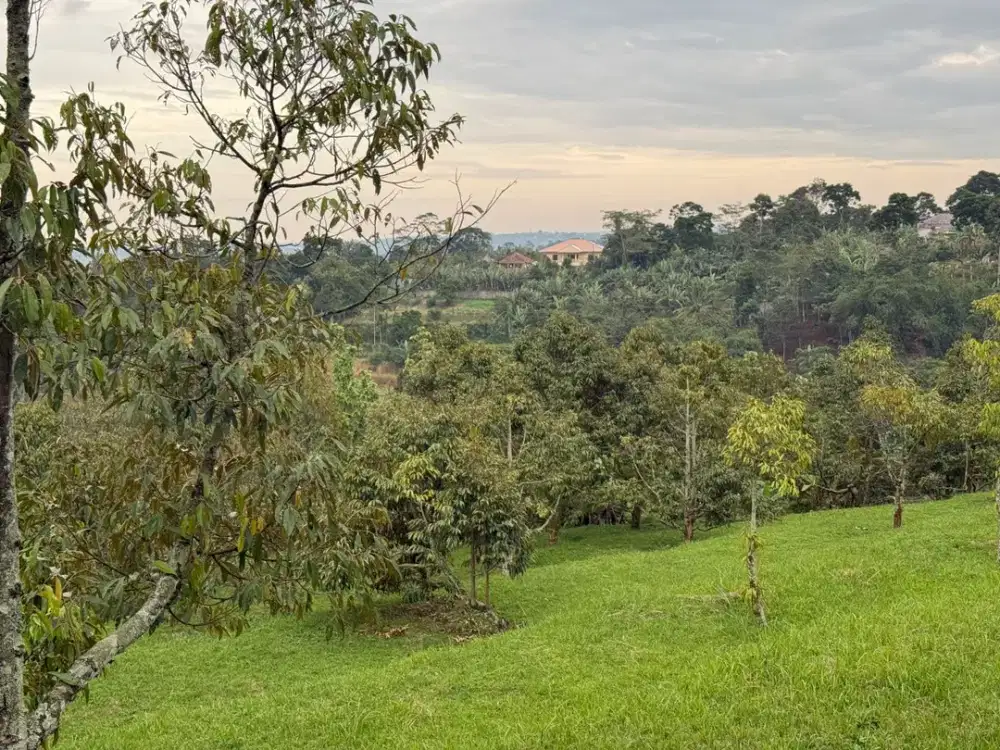 Jual Tanah Caringin Bogor 5 Ha, SHM, 6 Km Pintu Tol Caringin