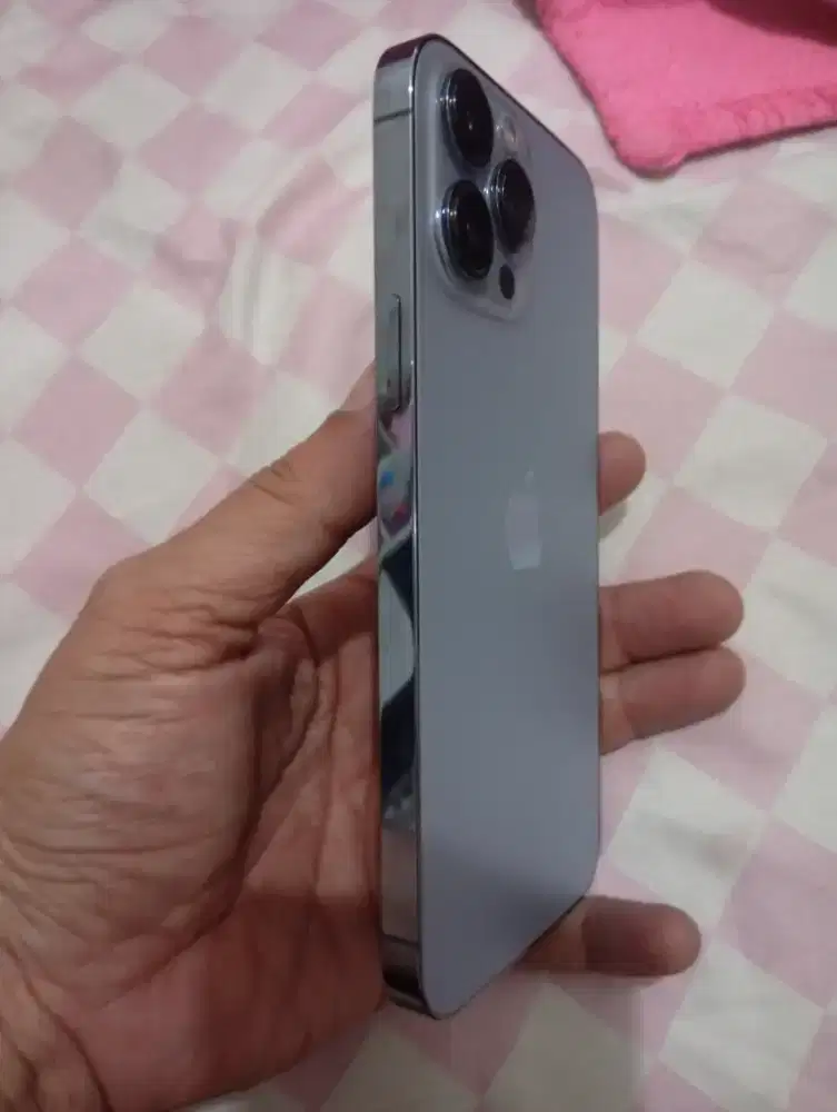 Iphone 13 promax 256 mulus