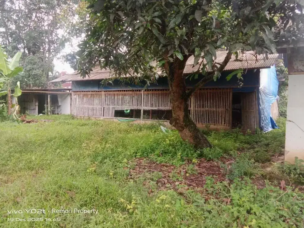 TANAH DARAT MURAH STRATEGIS DI BABAKAN CISEENG PARUNG BOGOR