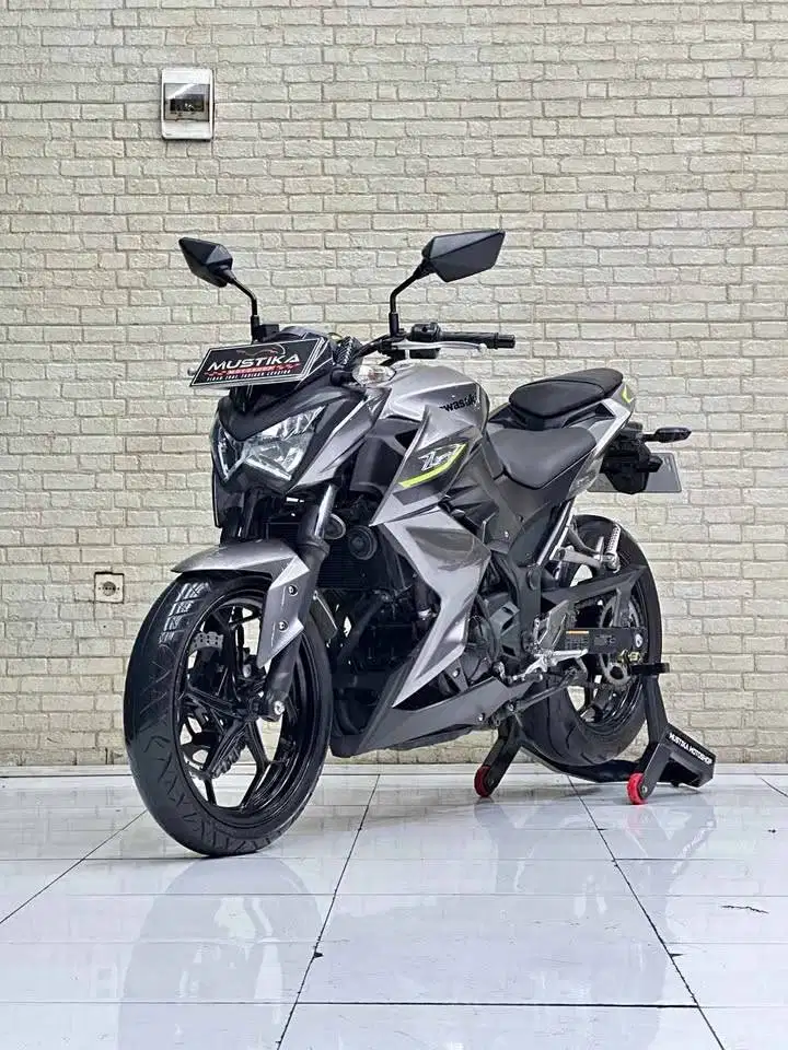 Kawasaki Z 250 SE