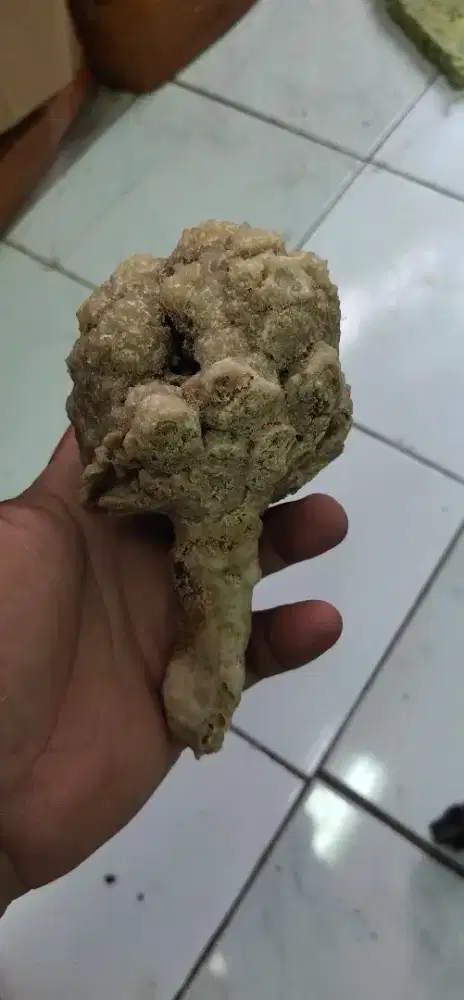 (WAJIB Transaksi Offline , Harga Net) Suiseki / Pajangan Model BROKOLI