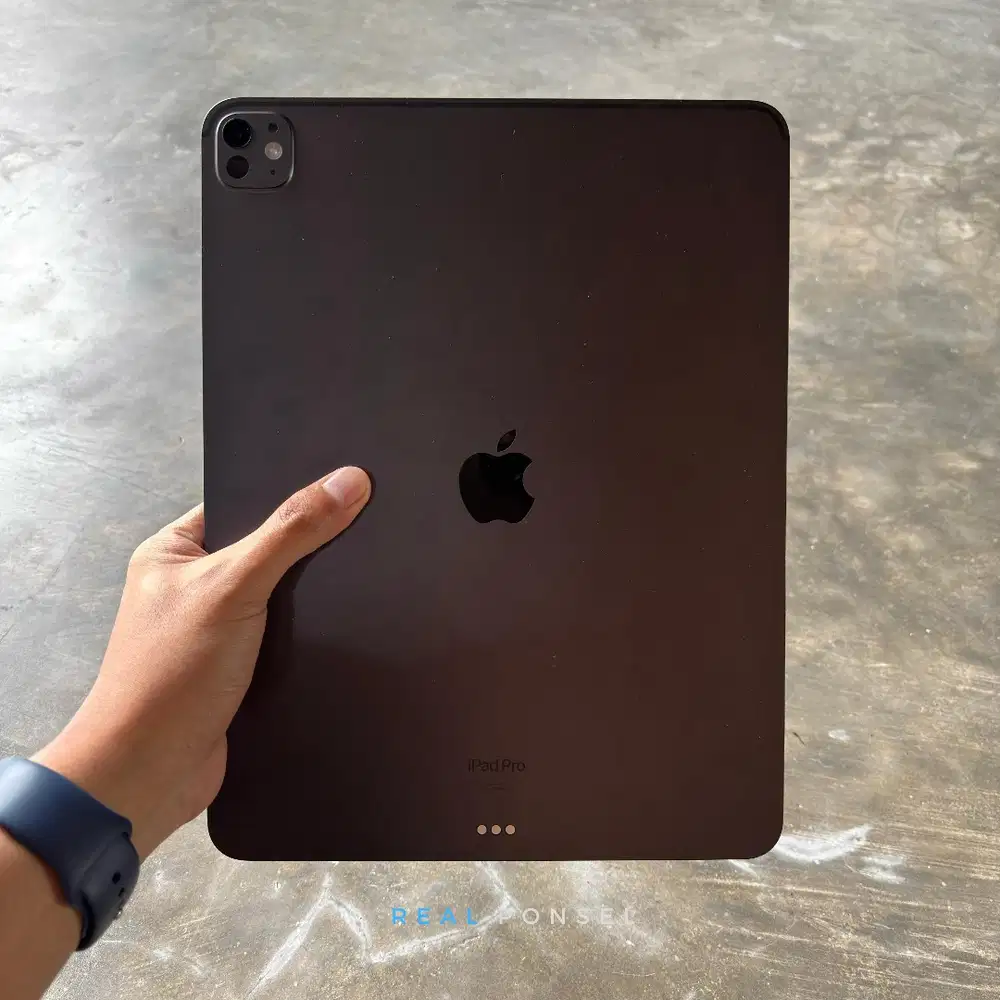 iPad Pro M4 13 256 Wifi