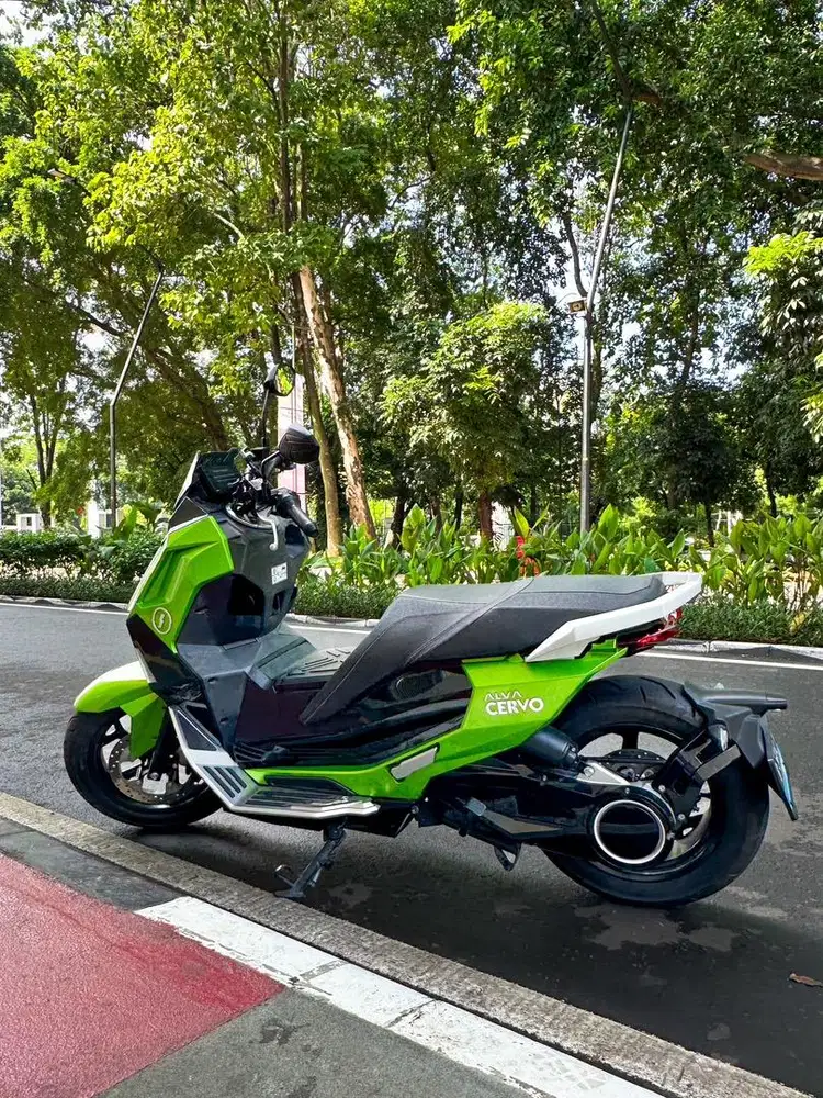 Alva cervo 2023 mint