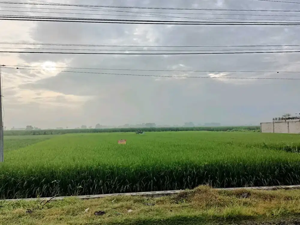 Desa watu dakon kecamatan kesamben