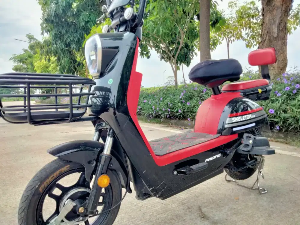 Sepeda Listrik Skeleton