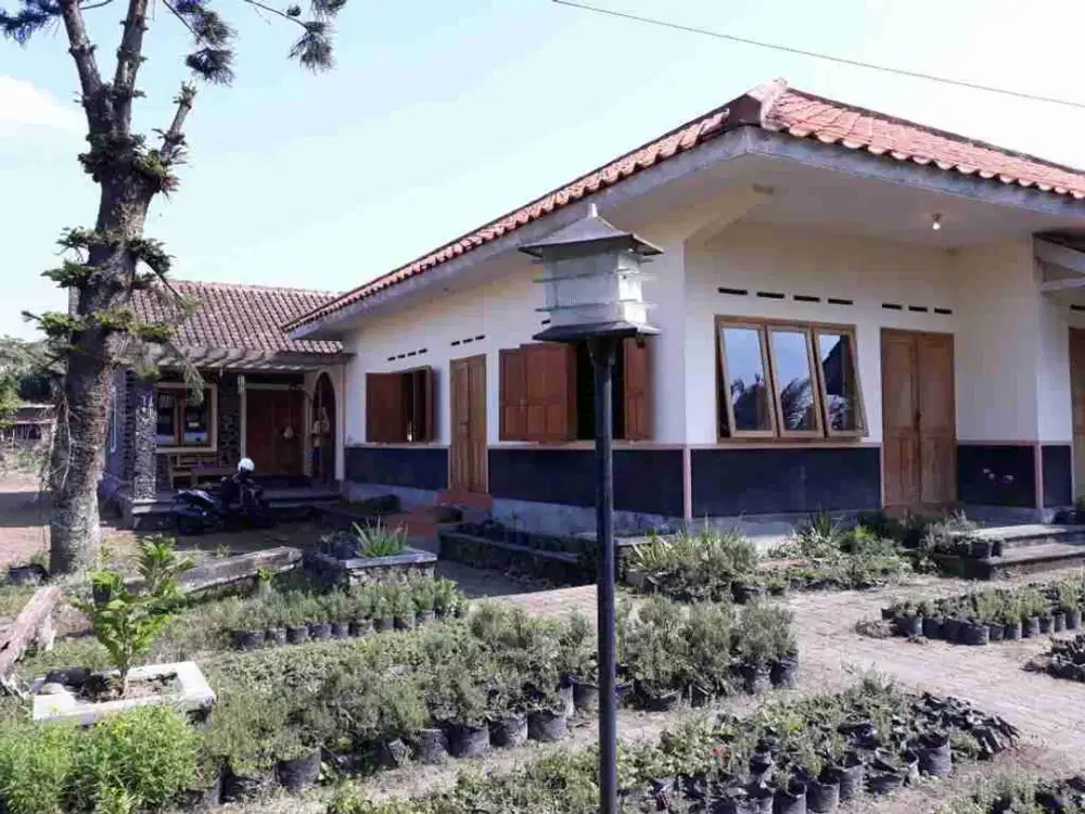 Rumah Kebun Siap Huni Sleman Dijual Cepat Aja!