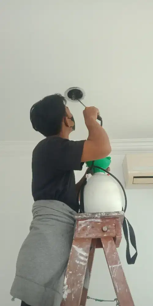 Pembasmi hama/Pest control