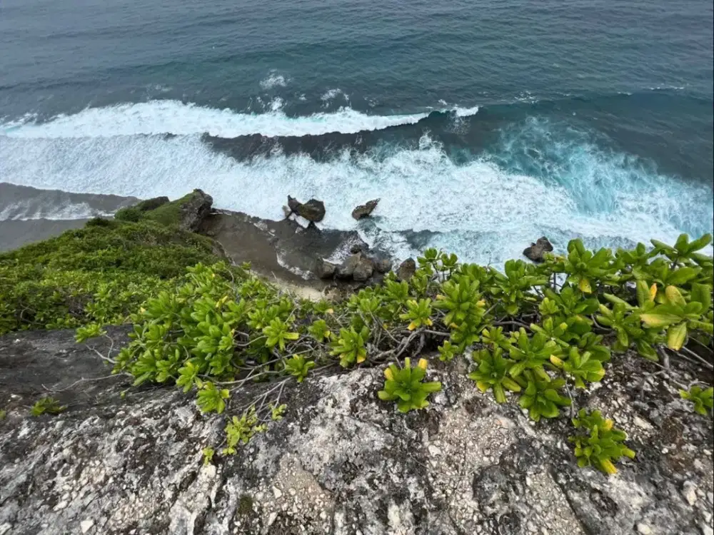 Dijual Tanah Tebing Laut Nyang-Nyang Uluwatu