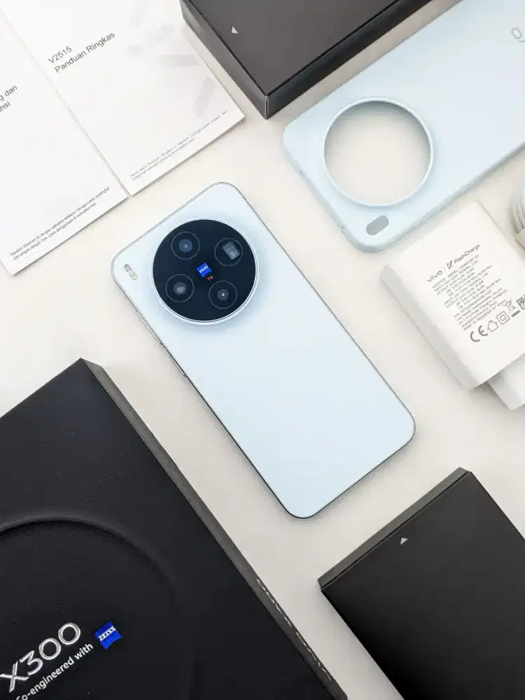 Vivo X300 RAM 12/256 GB