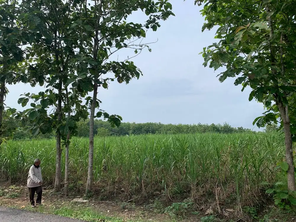 DIJUAL TANAH MILIK PRIBADI TANPA PERANTARA