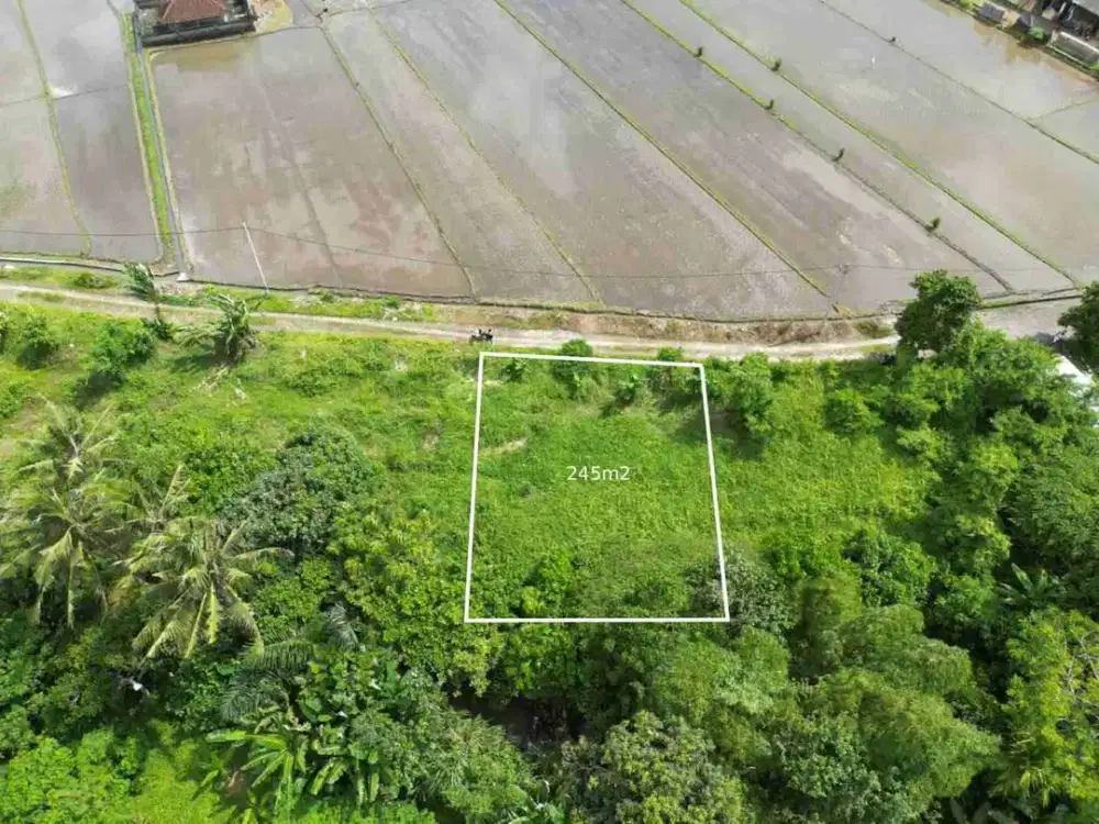tanah plot kecil dekat pantai kedungu tabanan sangat bagus di bangun villa