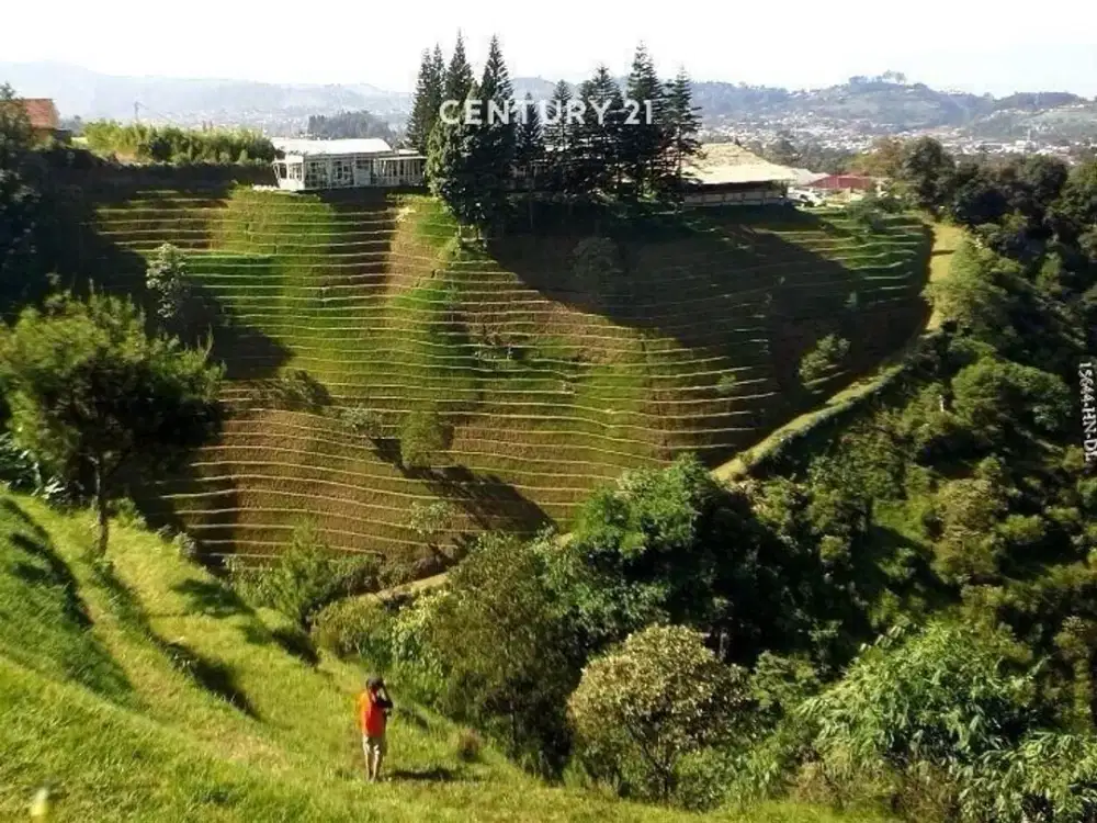 Dijual Tanah Cocok Untuk Resort Atau Villa Di Lembang Bandung