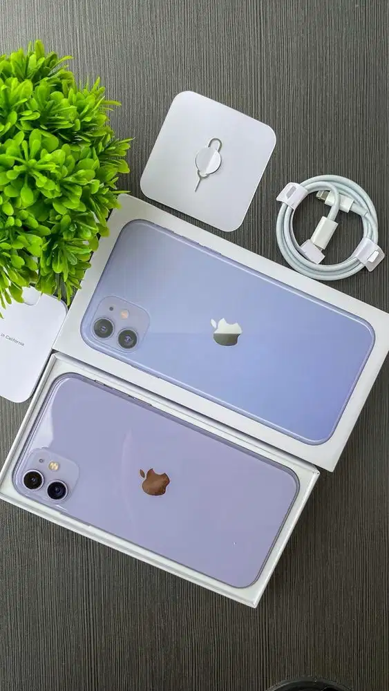 IPHONE 11 PURPLE INTER