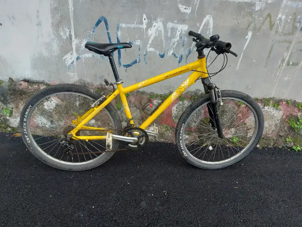 Polygon bike to work