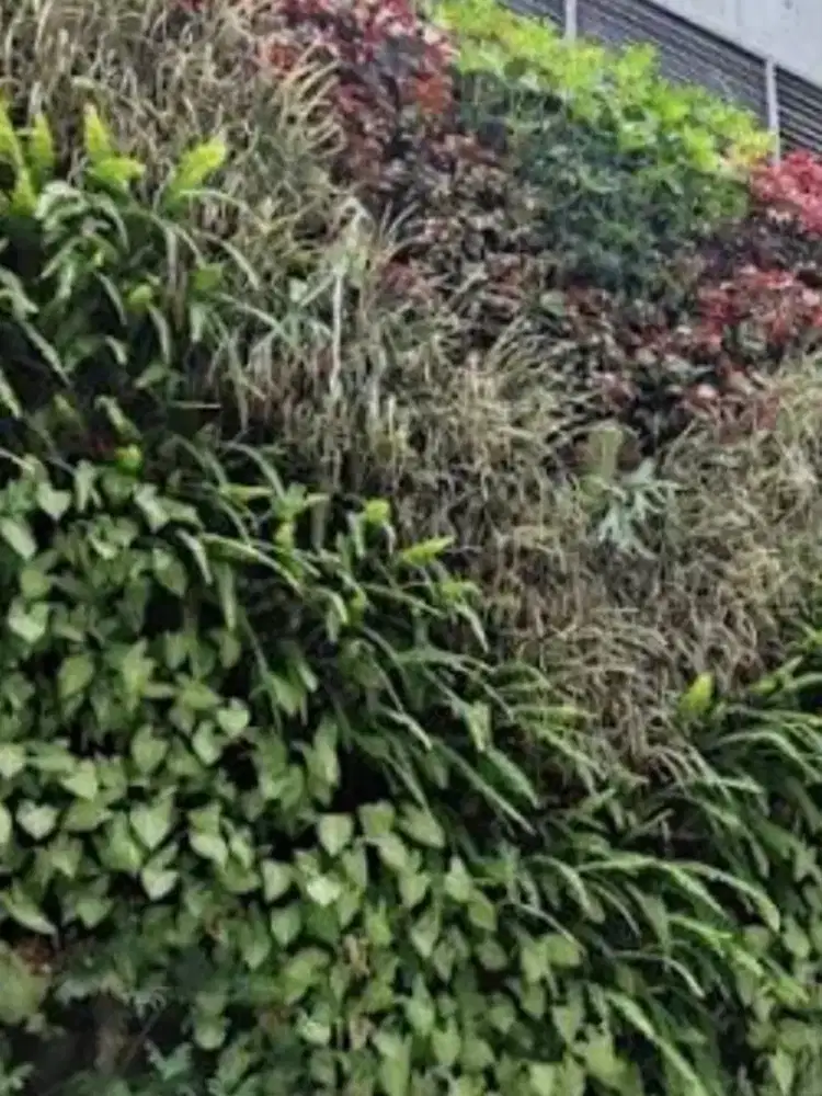Taman vertical fresh estetis