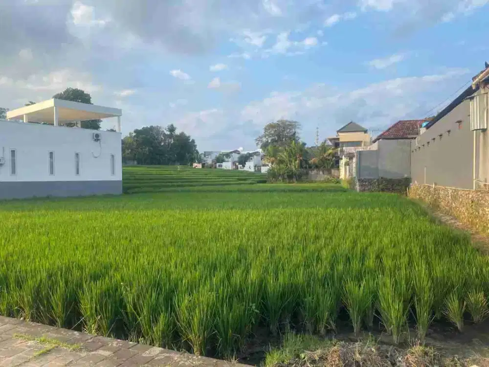 tanah bagus cocok untuk hunian, villa dll