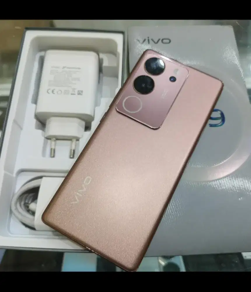 Vivo V29 5G 8/256