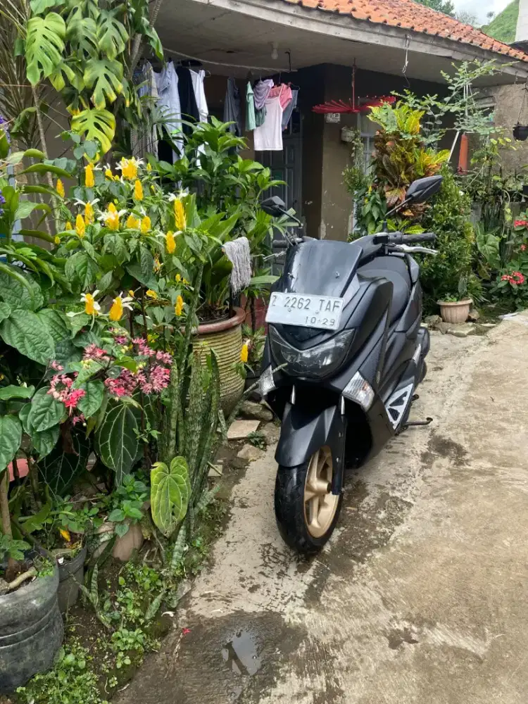 Nmax 2019 plat Z mulus orsin