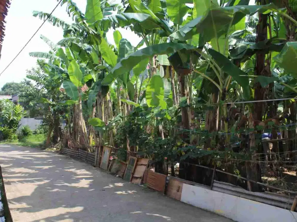 Dijual tanah dipondok petir