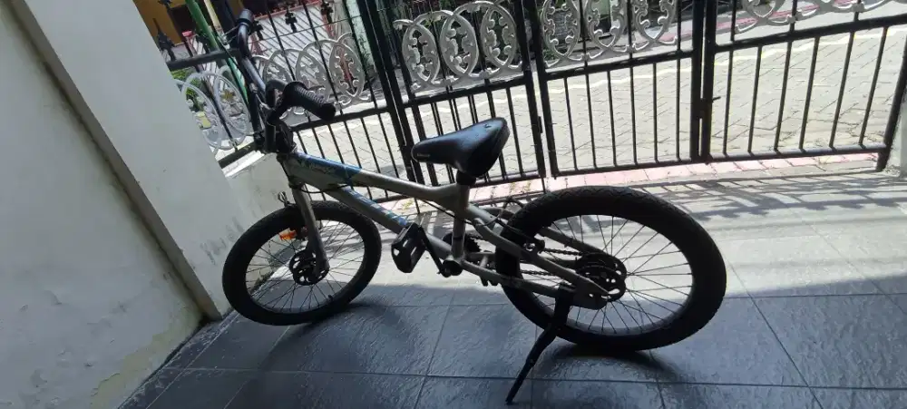 Sepeda United anak dewasa