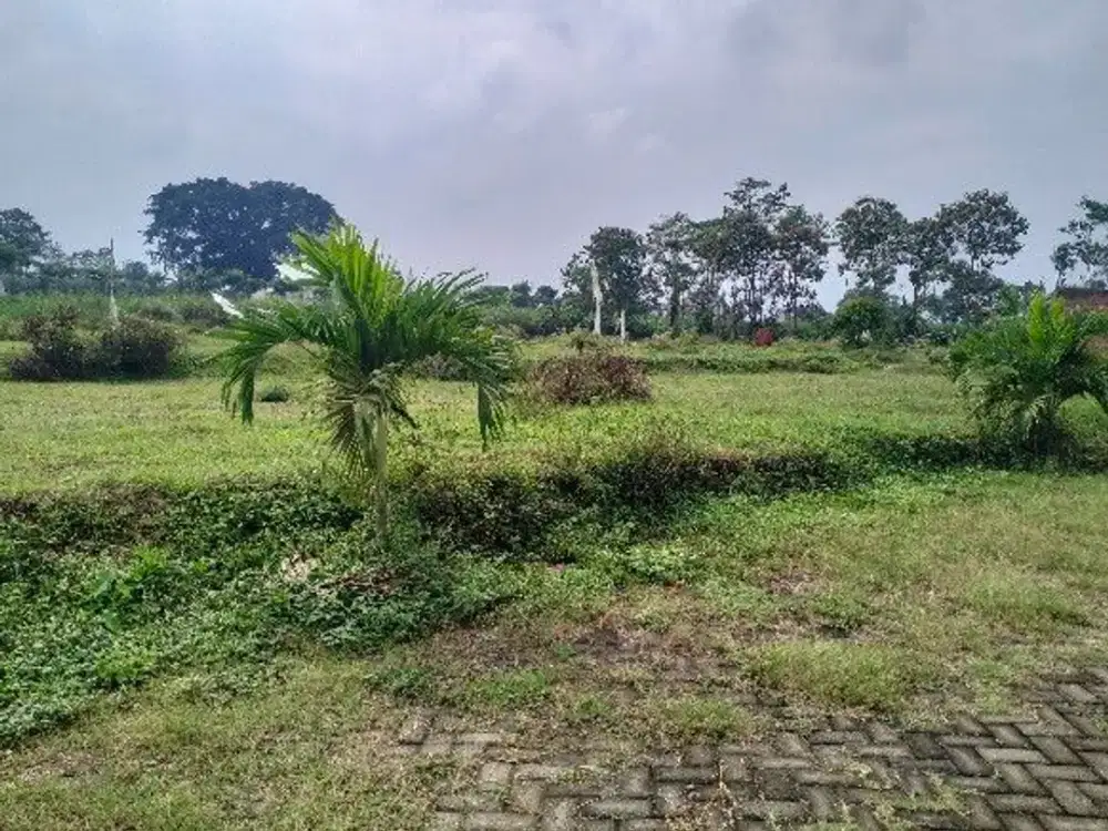 Tanah SHM 180 Juta Dekat Exit Tol Pakis
