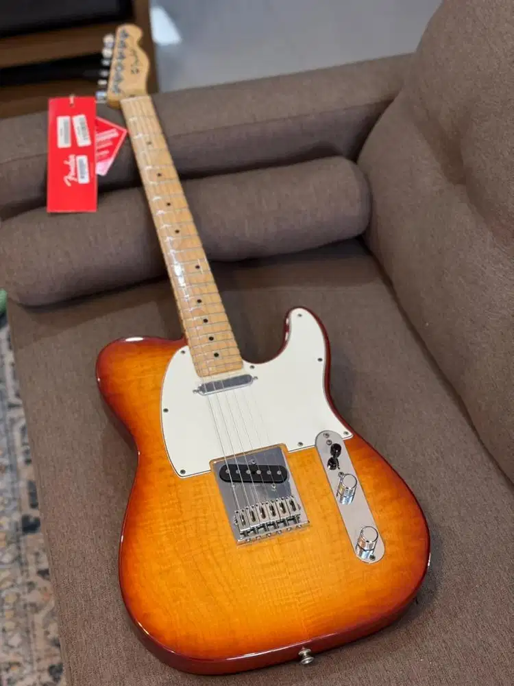 Fender Telecaster Limited Edition Player Plus Top made in Mexico