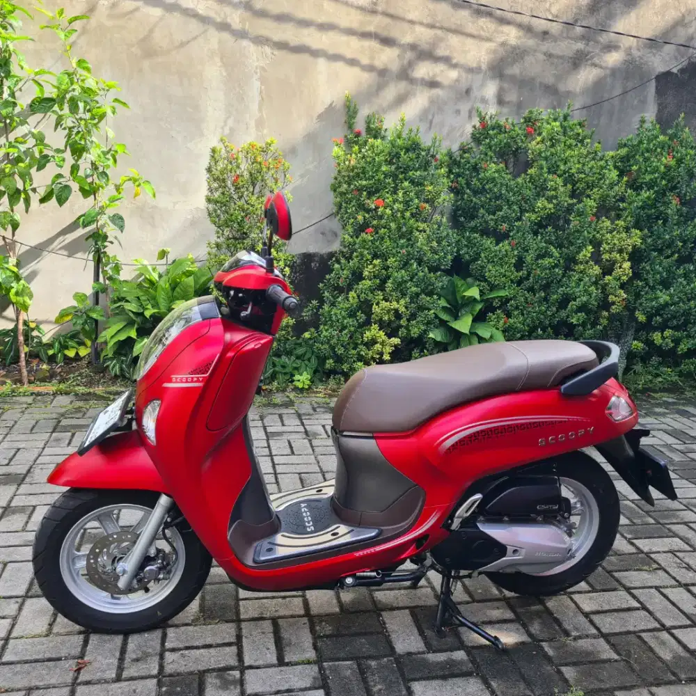 Honda Scoopy Stylish like new