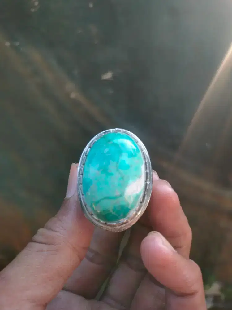 cincin pirus nevada jumbo