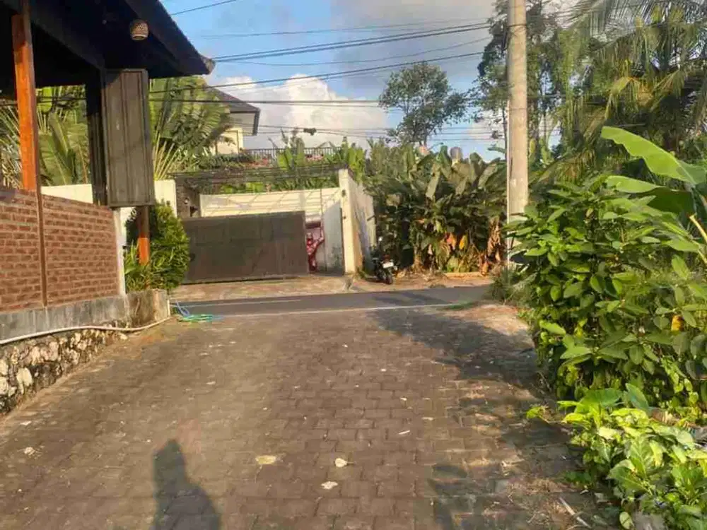 dikontrakkan tanah sona kuning