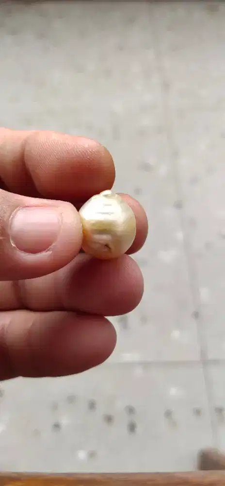 Natural Mutiara Air Laut Lombok Size Super Jumbo Natural - Very Rare