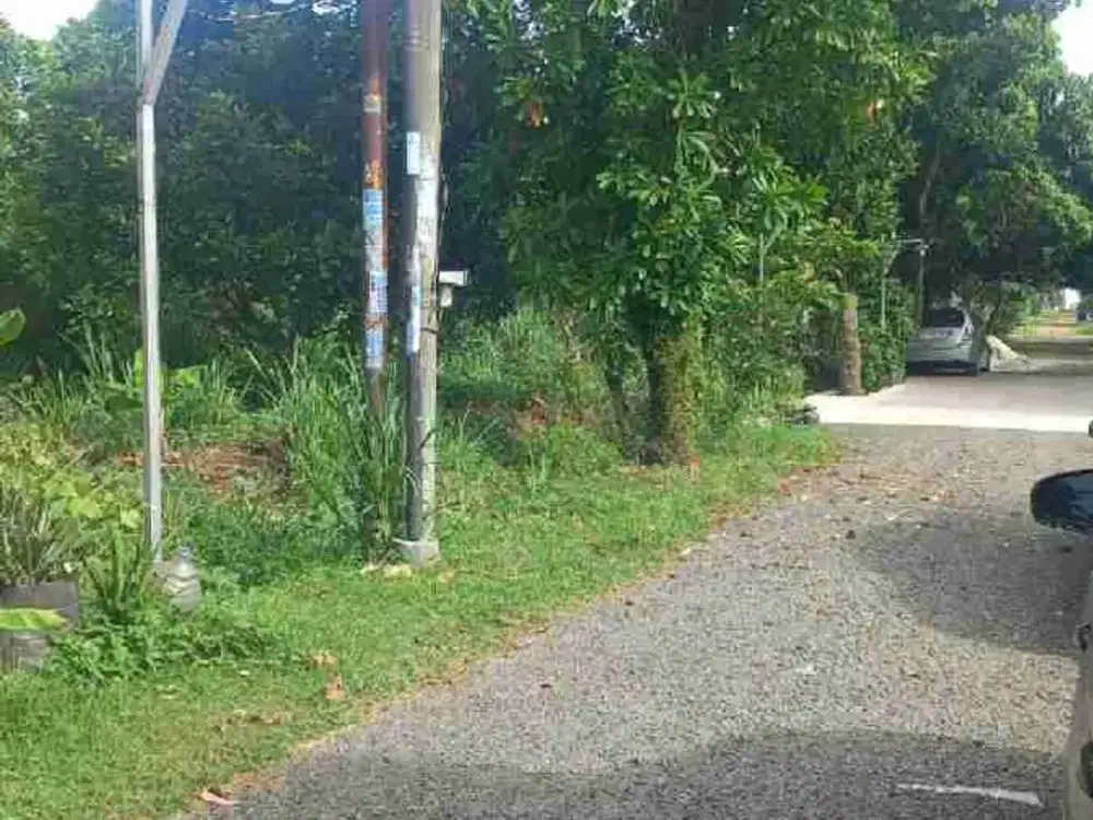 Jual tanah di gunung sindur