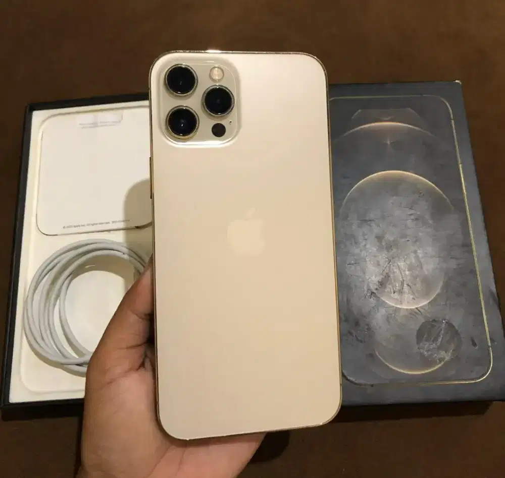 Iphone 12 promax gold