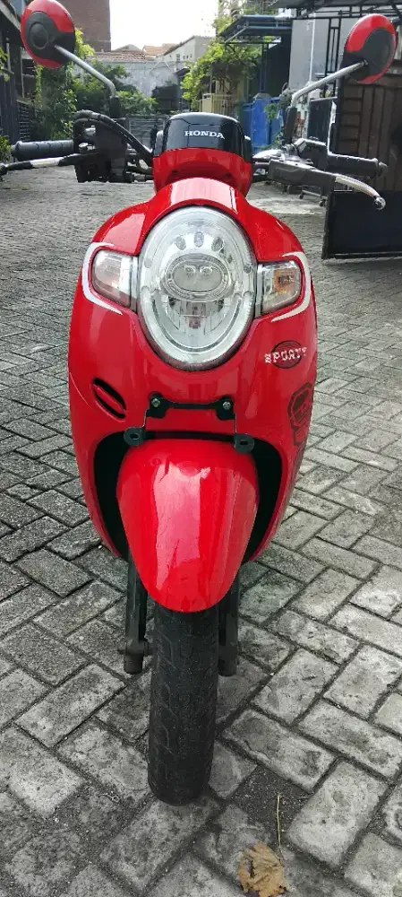 Honda scoopy 2018