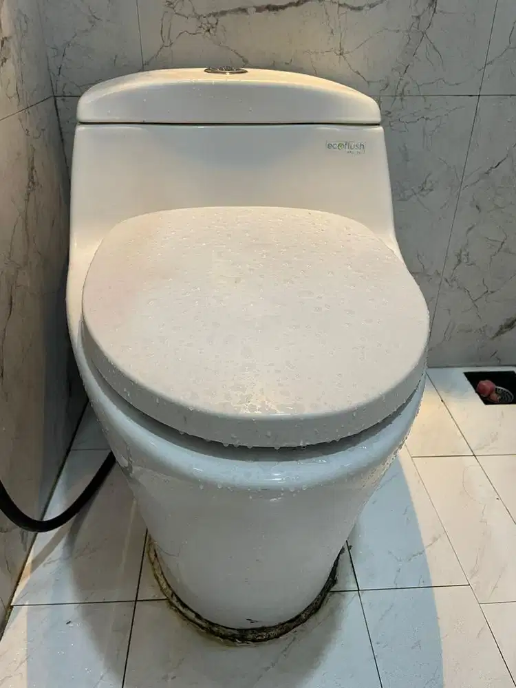 Dicari ART pulang pergi