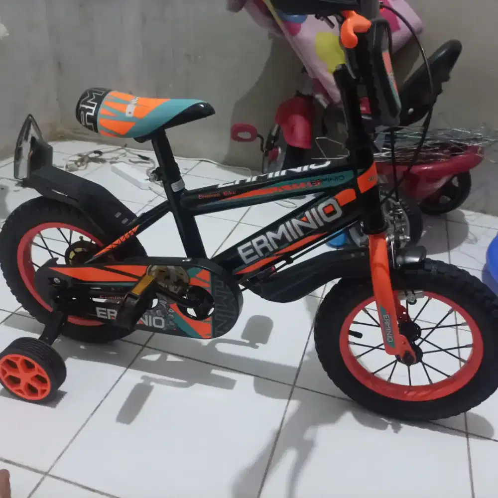Sepeda roda dua Merk ERMINIO BIKE,