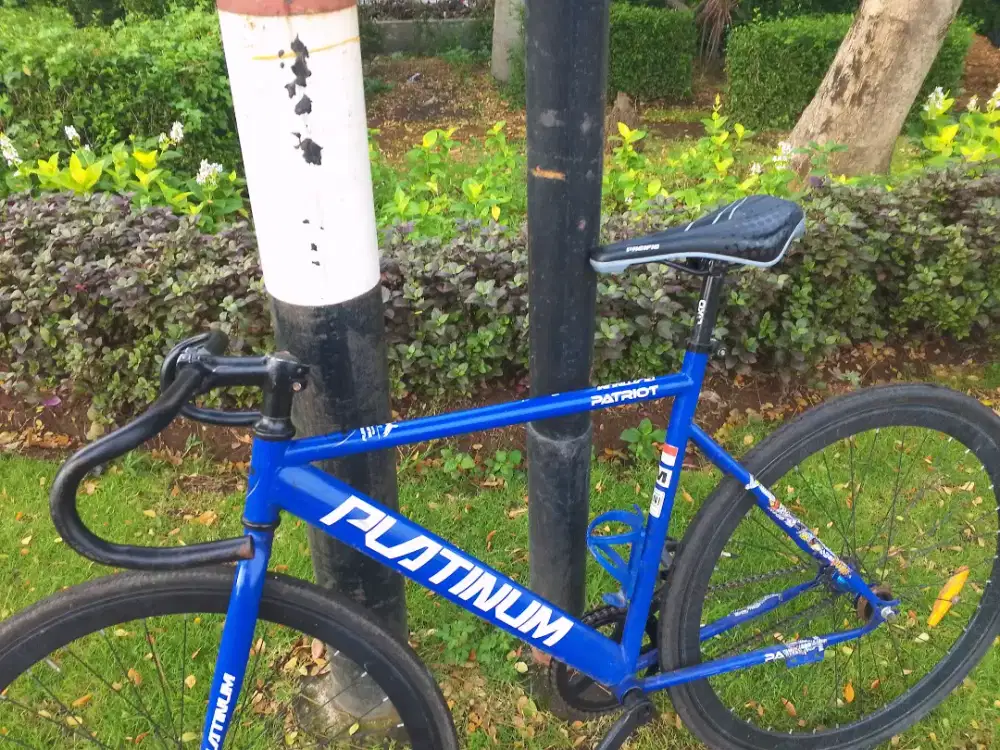 Sepeda platinum patriot