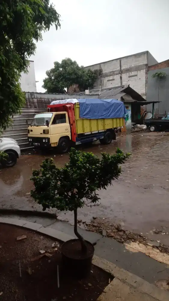 Truk Ps 100 sasis aman 60jt nego