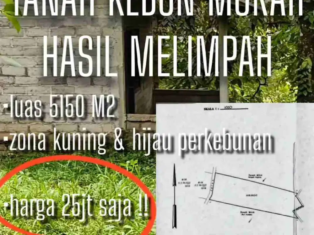 DIJUAL TANAH KEBUN MURAH HASIL MELIMPAH DI SELEMADEG, TABANAN, BALI.