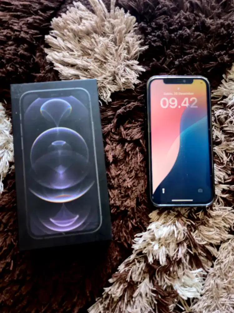 Iphone 12 Promax 256