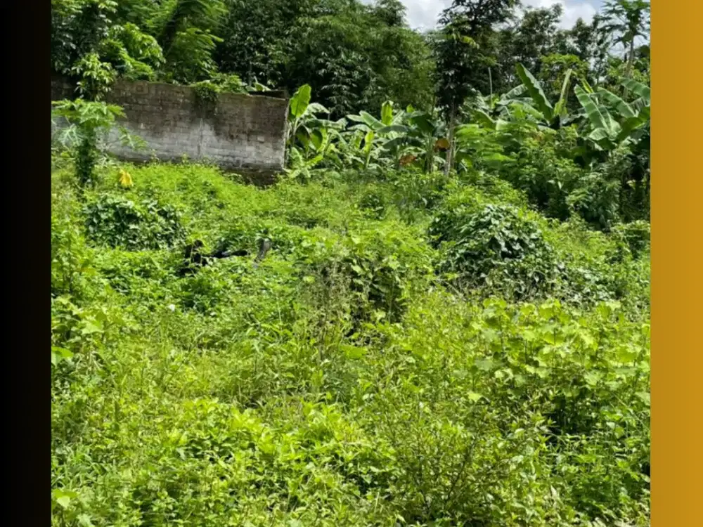 Tanah Jogja Kost Area Kampus UII Kaliurang SHM Pekarangan
