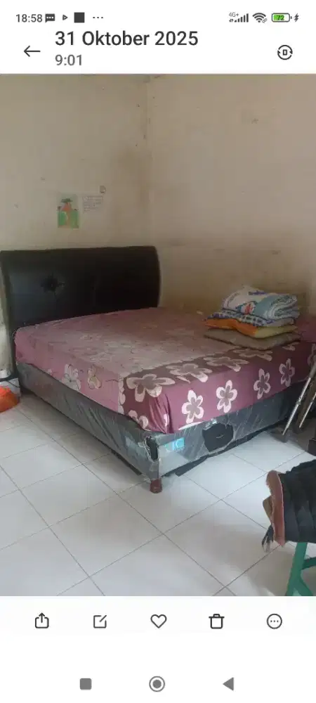 Dipan plus springbed