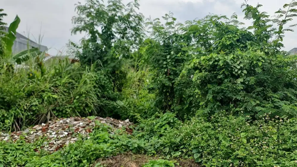 DIJUAL TANAH KAVLING MEDAYU UTARA